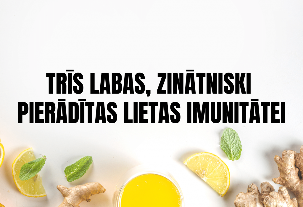 lotos premium