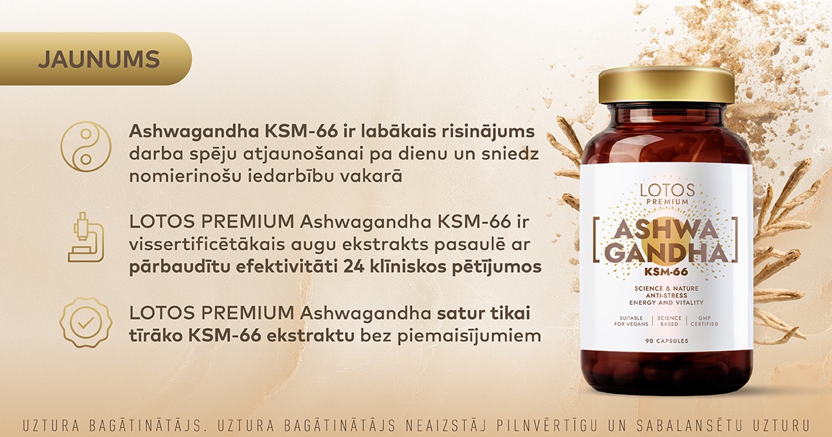lotos premium