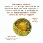 Liposomales Vitamin D3 4000 – Bild 5