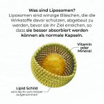Liposomales Zink – Bild 6