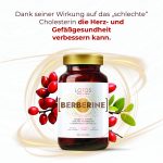 Berberine – Bild 5