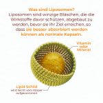 Liposomales Vitamin C – Bild 4